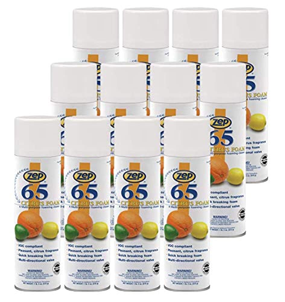 Zep 65 Citrus Foam - Multi-Purpose Foaming Cleaner – 18 oz